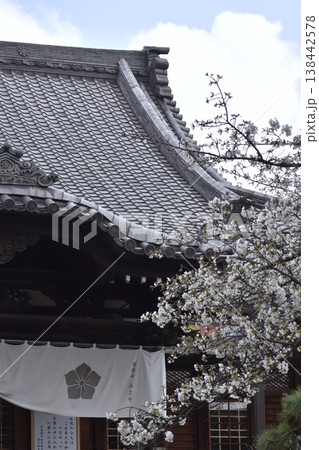 サクラが咲き誇る大田区の密蔵院 138442578