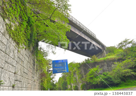 伊豆半島の伊豆山稜線歩道 静岡県道411号西天城高原線の陸橋下の船原峠 伊豆半島の伊豆山稜線歩道 静岡県道411号西天城高原線の陸橋下の船原峠 138443837