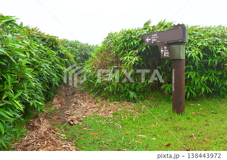 伊豆半島 濃霧の伊豆山稜線歩道 西伊豆スカイライン 古稀山の南入口 伊豆半島 濃霧の伊豆山稜線歩道 西伊豆スカイライン 古稀山の南入口 138443972