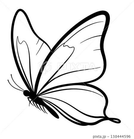 Elegant Butterfly Silhouettes and Line Art 138444596