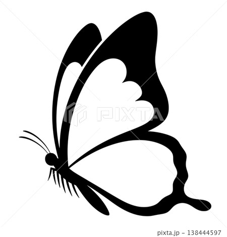 Elegant Butterfly Silhouettes and Line Art Elegant Butterfly Silhouettes and Line Art 138444597