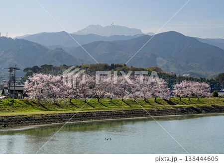 桜並木の背後に石鎚山 桜並木の背後に石鎚山 138444605