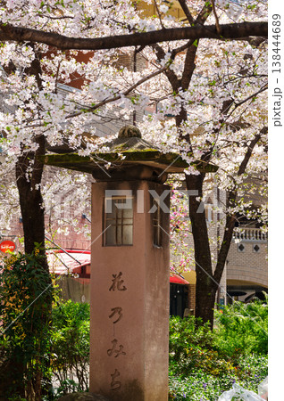 花のみち 138444689