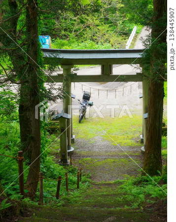 神社の参道を振り返る 神社の参道を振り返る 138445907