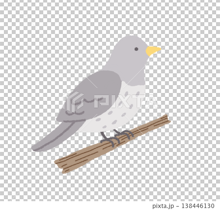 杜鵑鳥的簡單插圖 杜鵑鳥的簡單插圖 138446130