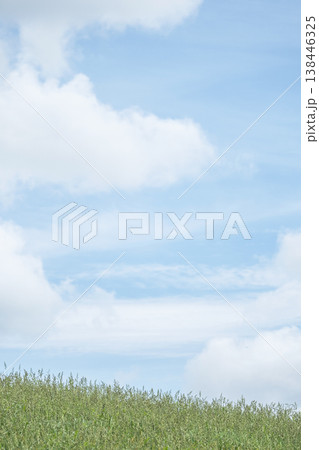 夏の爽やかな青空と草原　蒜山高原 138446325