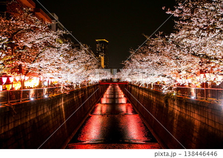 目黒川の夜桜 目黒川の夜桜 138446446