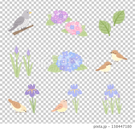 A set of illustrations of early summer flowers and small birds. A set of illustrations of early summer flowers and small birds. 138447180