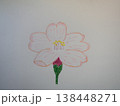 サクラの花びら 138448271