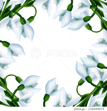 Square frame with white snowdrops, green branches, floral plant, snowdrop bloom with green leaves. Digital watercolor Square frame with white snowdrops, green branches, floral plant, snowdrop bloom with green leaves. Digital watercolor 138449074