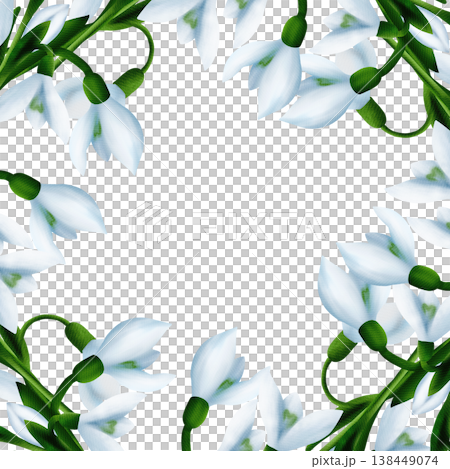 Square frame with white snowdrops, green branches, floral plant, snowdrop bloom with green leaves. Digital watercolor Square frame with white snowdrops, green branches, floral plant, snowdrop bloom with green leaves. Digital watercolor 138449074