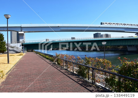 東京都江東区 豊洲ぐるり公園散策路と有明北橋とゆりかもめ 東京都江東区 豊洲ぐるり公園散策路と有明北橋とゆりかもめ 138449119