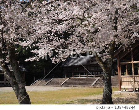 春の往馬大社 138449244