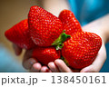 A little girl holding ripe strawberry in hands. Harvest of fresh strawberry 138450161