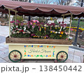 フラワーカー 138450442