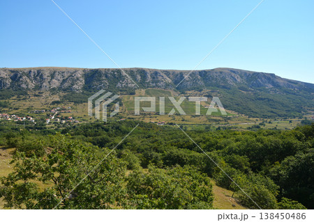 Panoramic View of Baska Valley Vineyards on Krk Island Panoramic View of Baska Valley Vineyards on Krk Island 138450486