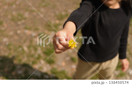 タンポポの花を摘んで差し出す子供の手元 タンポポの花を摘んで差し出す子供の手元 138450574