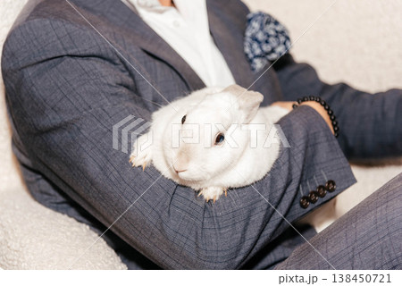 A man in a nice suit holds a small white rabbit. A white fluffy rabbit sits on a man's hands. Domestic rabbit close-up. A man in a nice suit holds a small white rabbit. A white fluffy rabbit sits on a man's hands. Domestic rabbit close-up. 138450721