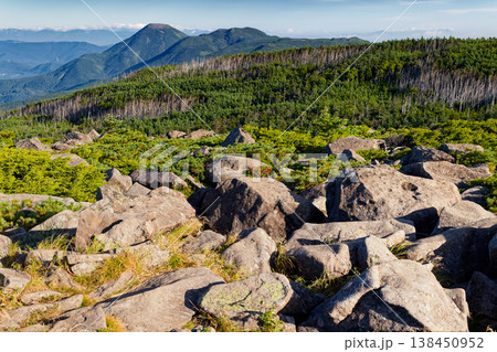 北八ヶ岳・中山展望台から見る蓼科山・北横岳 138450952