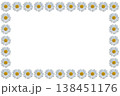 シャスターデージー フレーム枠 138451176