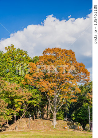 浜松市の二俣城跡の風景(静岡県) 浜松市の二俣城跡の風景(静岡県) 138451189