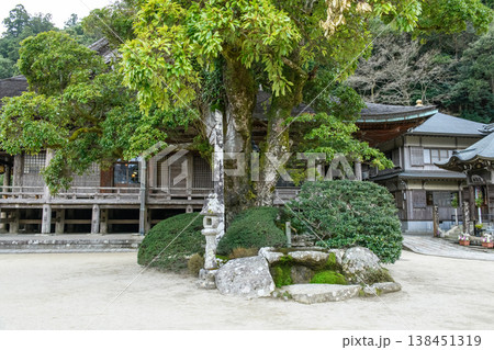熊野三山青岸渡寺 タブノキ 天然記念物 和歌山県 熊野三山青岸渡寺 タブノキ 天然記念物 和歌山県 138451319