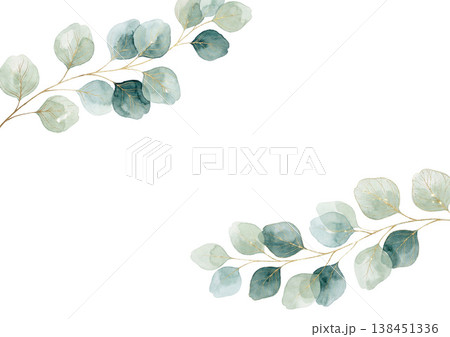 水彩画　リーフ 138451336