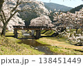 鮎川の千本桜 138451449