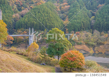 川根本町の南アルプス接岨大吊橋の風景(静岡県) 川根本町の南アルプス接岨大吊橋の風景(静岡県) 138451549