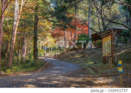新城市の愛知県民の森の風景(愛知県) 138451737
