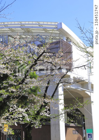 春のしょうぶ沼公園と北綾瀬駅　  138451747