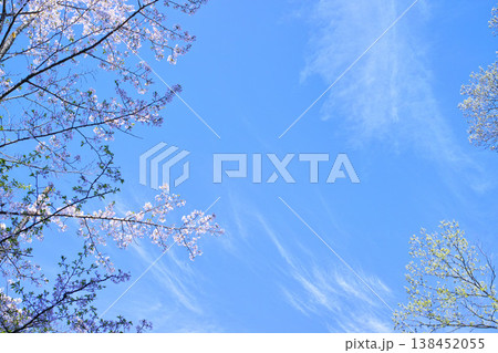 青空と雲イメージ 青空と雲イメージ 138452055