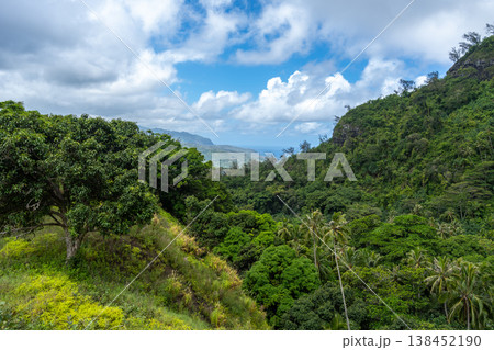 View of Atuona Bay from the mountains, Hiva Oa, French Polynesia 138452190