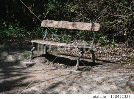 A weathered wooden bench stands as a solitary sentry against a backdrop of dense, tangled brush and shadowed woodland. Its rough-hewn timber slats and gnarled, branch-like metal legs blend seamlessly A weathered wooden bench stands as a solitary sentry against a backdrop of dense, tangled brush and shadowed woodland. Its rough-hewn timber slats and gnarled, branch-like metal legs blend seamlessly 138452328