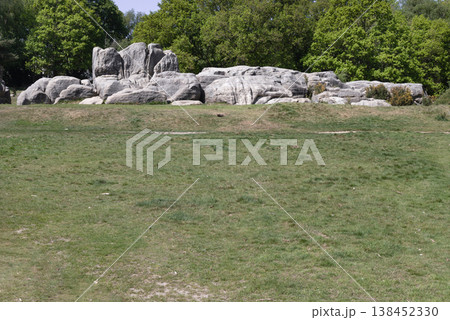 An expanse of sun-drenched grassland leads the eye toward a striking cluster of weathered grey sandstone. These ancient, gnarled formations rise from a gentle ridge at Wellington Rocks on Tunbridge An expanse of sun-drenched grassland leads the eye toward a striking cluster of weathered grey sandstone. These ancient, gnarled formations rise from a gentle ridge at Wellington Rocks on Tunbridge 138452330