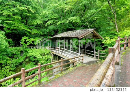 鹿教湯温泉の五台橋 鹿教湯温泉の五台橋 138452555