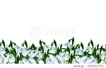White snowdrops, green branches, splashes. Seamless floral botanical border. Digital watercolor hand drawn 138452774