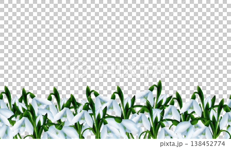 White snowdrops, green branches, splashes. Seamless floral botanical border. Digital watercolor hand drawn 138452774