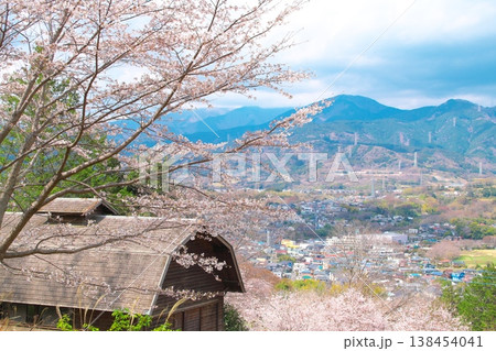 桜の花が咲く弘法山公園の山腹からの眺望 桜の花が咲く弘法山公園の山腹からの眺望 138454041