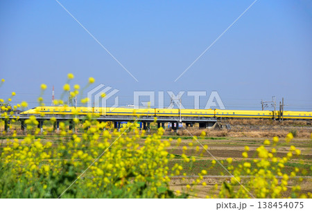 Doctor Yellow JR西 刈谷市 Doctor Yellow JR西 刈谷市 138454075