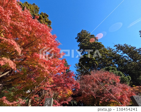 鎌倉の紅葉 鎌倉の紅葉 138454241