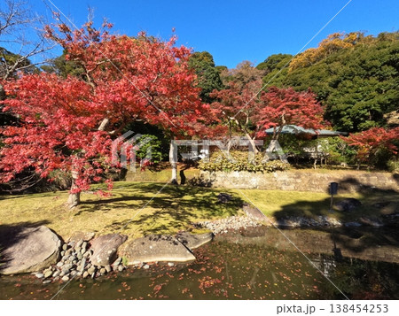 鎌倉の紅葉 鎌倉の紅葉 138454253
