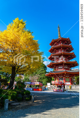 【神奈川県】川崎大師の八角五重塔と黄色に輝く銀杏 【神奈川県】川崎大師の八角五重塔と黄色に輝く銀杏 138454469