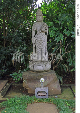 長昌寺(小金井) 長昌寺(小金井) 138454480