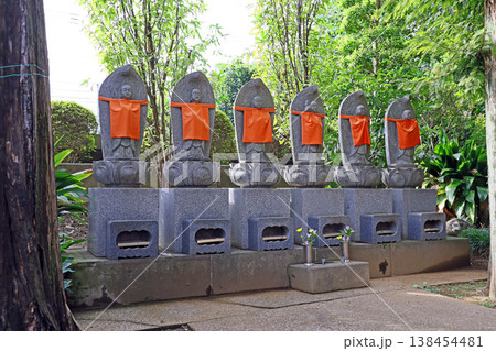 長昌寺(小金井) 長昌寺(小金井) 138454481
