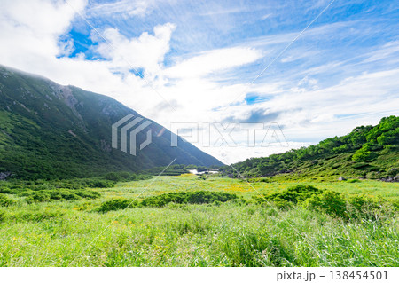 千畳敷カールの登山道と絶景 千畳敷カールの登山道と絶景 138454501