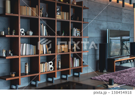 Cozy modern apartment concept. Luxury interior design. Dream house decoration. Wooden bookshelf with books and TV set along the wall. Atmospheric living room design. Home with modern furniture 138454918
