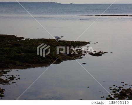 石垣島サンセット 石垣島サンセット 138455110