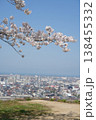 街を見下ろす桜 138455332