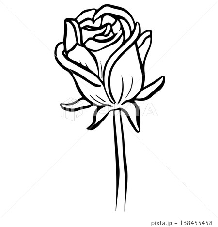 Rose Flower Head Floral Icon Clipart Vector Illustration 138455458